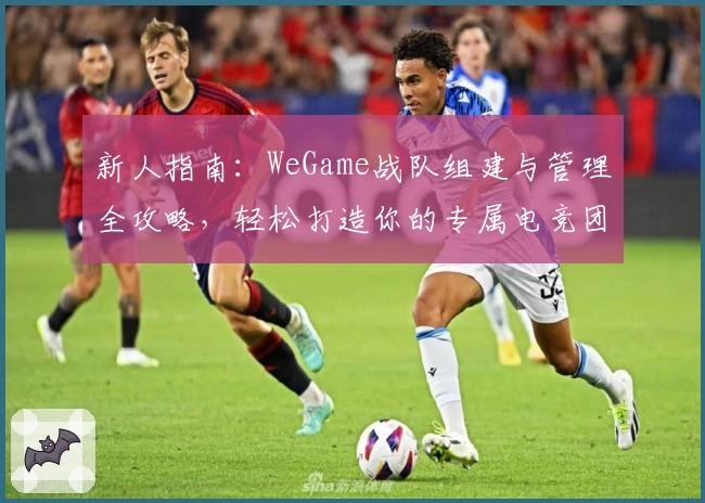 新人指南:WeGame战队组建与管理全攻略,轻松打造你的专属电竞团队