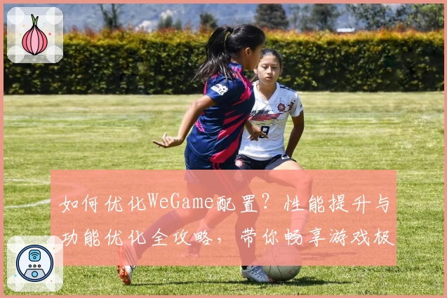 如何优化WeGame配置？性能提升与功能优化全攻略，带你畅享游戏极致体验