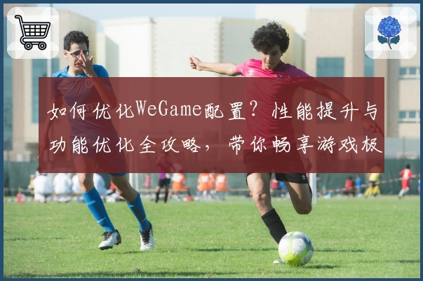 如何优化WeGame配置？性能提升与功能优化全攻略，带你畅享游戏极致体验