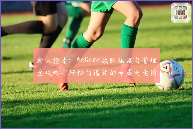 新人指南:WeGame战队组建与管理全攻略,轻松打造你的专属电竞团队